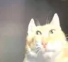 andysamburg's Avatar
